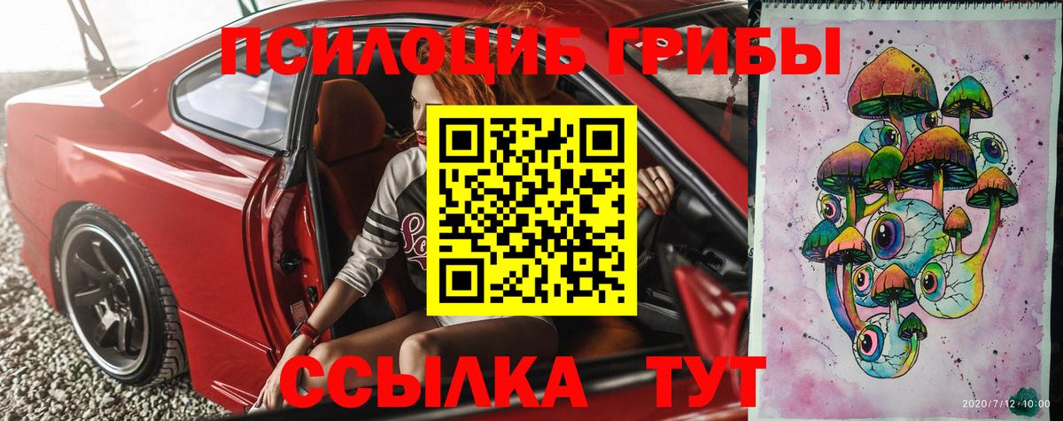 Псилоцибиновые грибы GOLDEN TEACHER Белово
